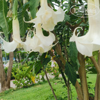 фото из отзыва ID 2719701