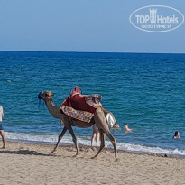 фото из отзыва ID 2719709