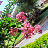 фото из отзыва ID 2719709