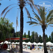 фото из отзыва ID 2719709