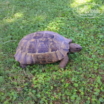 фото из отзыва ID 2719709