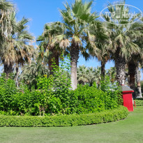 фото из отзыва ID 2719709