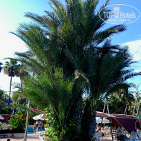 фото из отзыва ID 2719709