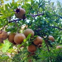 фото из отзыва ID 2719709