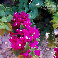 фото из отзыва ID 2719709