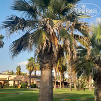 фото из отзыва ID 2719709