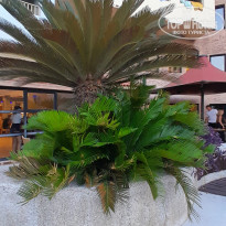 фото из отзыва ID 2719709