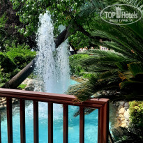 фото из отзыва ID 2719709