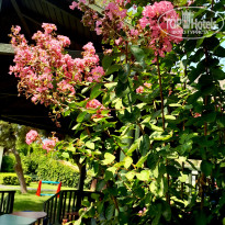 фото из отзыва ID 2719709