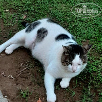 фото из отзыва ID 2719709