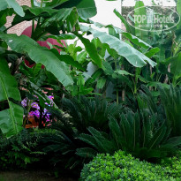 фото из отзыва ID 2719709