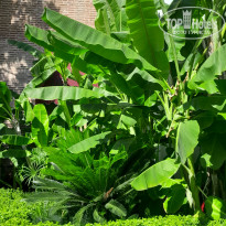 фото из отзыва ID 2719709