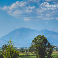 фото из отзыва ID 2719718