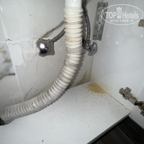 фото из отзыва ID 2719735