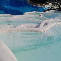 фото из отзыва ID 2719709