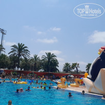 фото из отзыва ID 2719709