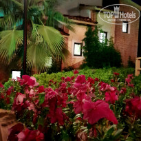 фото из отзыва ID 2719709