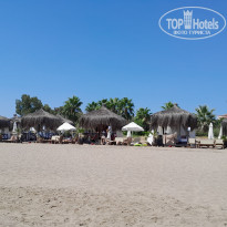 фото из отзыва ID 2719709