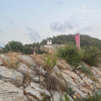 фото из отзыва ID 2719078