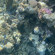 фото из отзыва ID 2719757