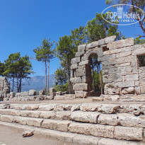 фото из отзыва ID 2719709