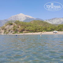 фото из отзыва ID 2719709