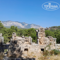 фото из отзыва ID 2719709