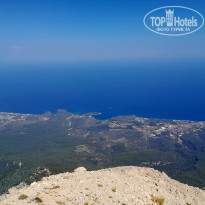 фото из отзыва ID 2719709