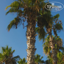 фото из отзыва ID 2719784