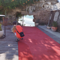 фото из отзыва ID 2719832