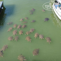 фото из отзыва ID 2719832