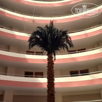 фото из отзыва ID 2719831