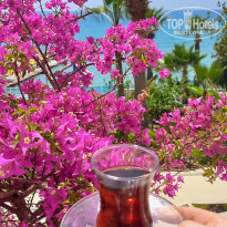 фото из отзыва ID 2719831