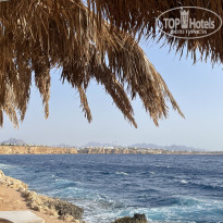 фото из отзыва ID 2719844