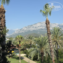 фото из отзыва ID 2719908