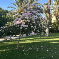 фото из отзыва ID 2719908