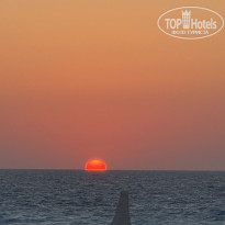 фото из отзыва ID 2719923