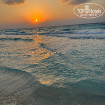 фото из отзыва ID 2719923