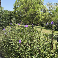 фото из отзыва ID 2719930