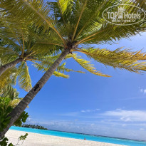 фото из отзыва ID 2719933