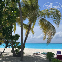 фото из отзыва ID 2719933