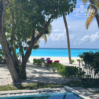 фото из отзыва ID 2719933