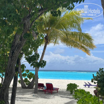 фото из отзыва ID 2719933