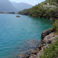 фото из отзыва ID 2719968