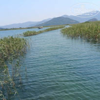 фото из отзыва ID 2719968