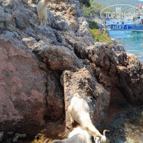 фото из отзыва ID 2719968