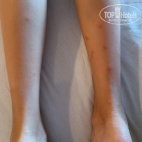 фото из отзыва ID 2719968