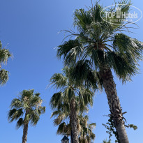 фото из отзыва ID 2719999