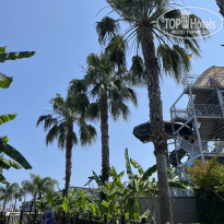 фото из отзыва ID 2719999