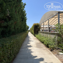 фото из отзыва ID 2719999